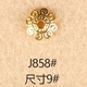 J858 (10)
