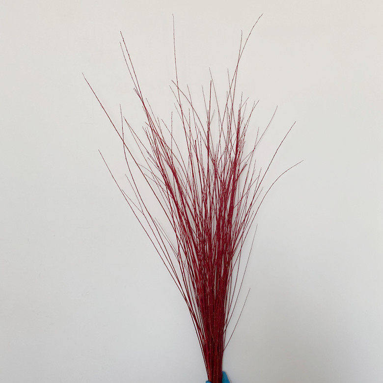 Imported Red Willow Branches, Red Willow Wood, Root and Sprout Easily, Have a Long Flowering Period, Suitable for Festive Home Decor, Flower Arrangements, and Holiday Atmosphere, with Fast Delivery of Fresh Flowers