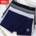 Quần lót cotton nam cực nam SF cotton cotton boxer để tăng độ béo cho quần short trẻ trung phiên bản Hàn Quốc