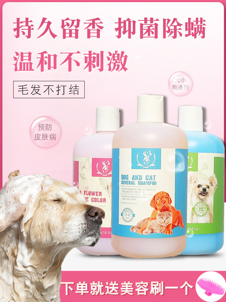Dog shower gel kills mites, eliminates bacteria, relieves itching, deodorizes Teddy golden retriever special universal fragrance and long-lasting supplies to remove fleas