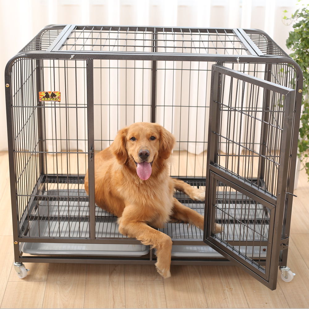 Dog house oversized dog cage medium large canine large number plus coarse gold woolen room with toilet giant iron cage
