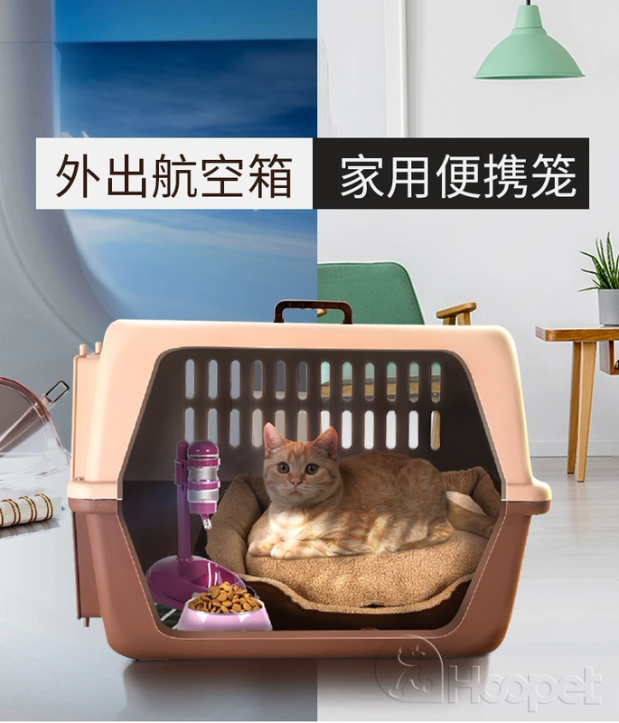 Pet mèo air box chú gấu Teddy chú chó nhỏ chú chó ra khỏi chiếc hộp tiện lợi thành chú mèo con mèo con - Cat / Dog hàng ngày Neccessities