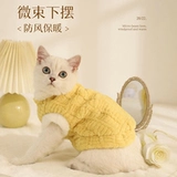 Кошачья одежда в зимних анти -хар