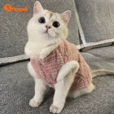 Кошачья одежда в зимних анти -хар