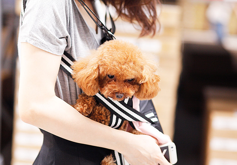 袋鼠包详情 (1).jpg