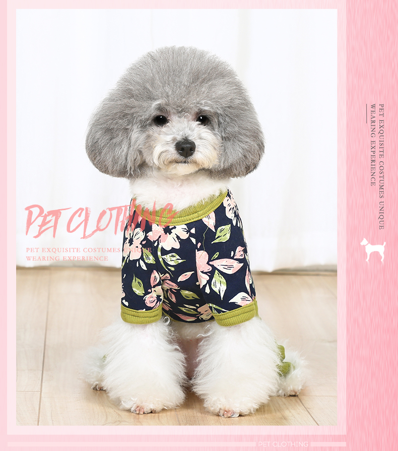 Quần áo chó mùa xuân và quần áo mùa thu Teddy Bomei quần áo chó con thú cưng quần áo bốn chân nhỏ chó quần áo thú cưng quần áo mùa xuân - Quần áo & phụ kiện thú cưng quần áo thú cưng giá sỉ