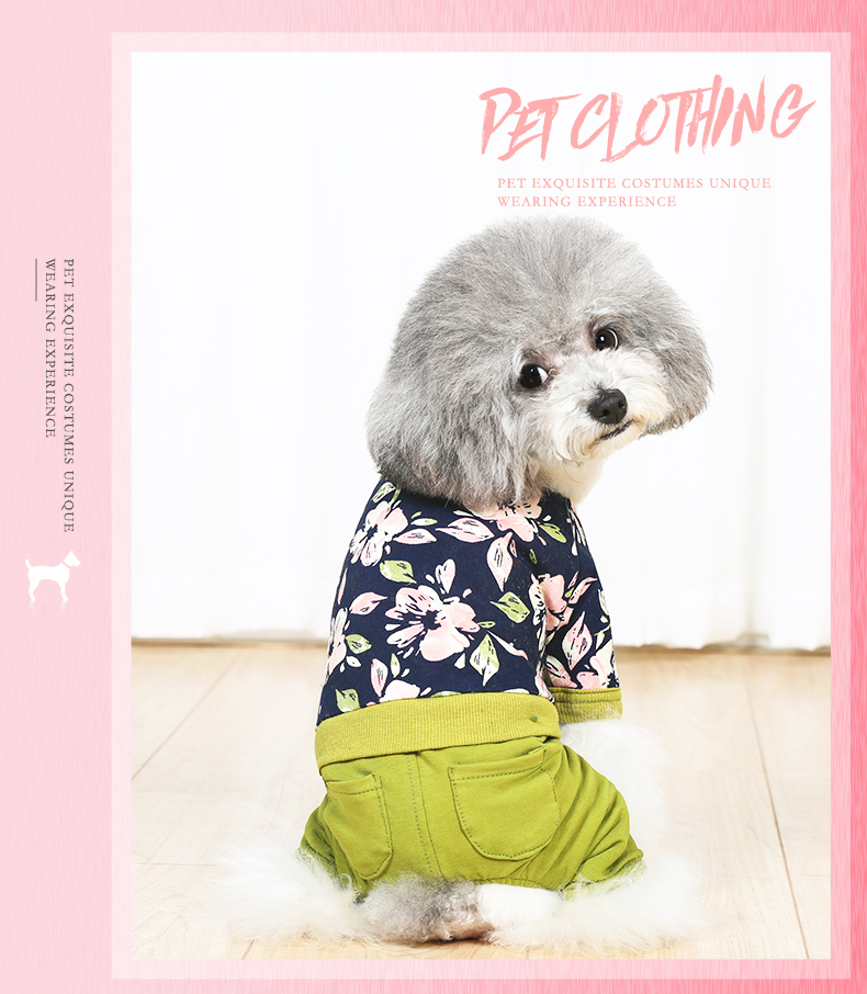 Quần áo chó mùa xuân và quần áo mùa thu Teddy Bomei quần áo chó con thú cưng quần áo bốn chân nhỏ chó quần áo thú cưng quần áo mùa xuân - Quần áo & phụ kiện thú cưng quần áo thú cưng giá sỉ
