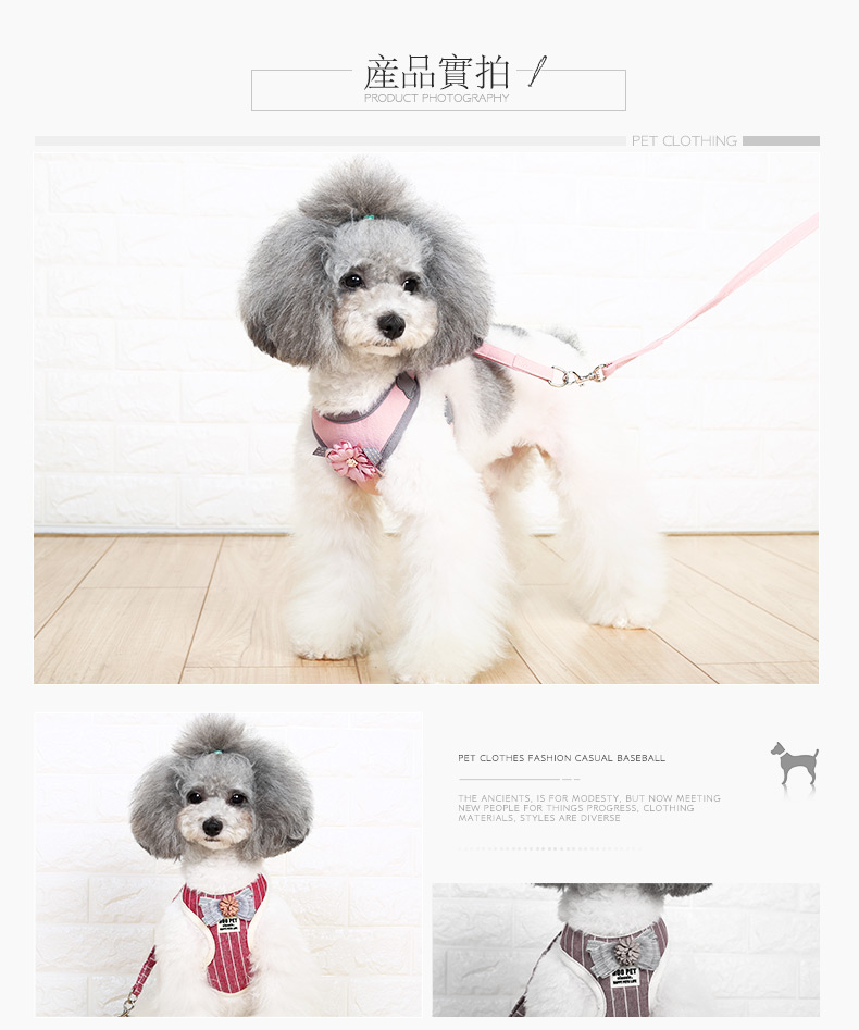 Chó con dây xích ngực dây đeo chó nhỏ mèo Teddy Bomeiji búp bê trơn mèo vest 遛 dây mèo - Cat / Dog hàng ngày Neccessities bình uống nước cho chó