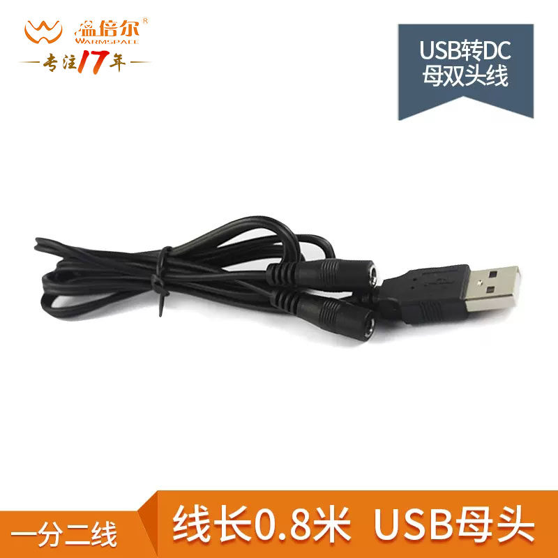 Wenbeier electric insole accessories special USB to DC bus one point two DC3 5*1 35 double female head line one drag two power supply line monitoring security light equipment connection line 3 5 female ports