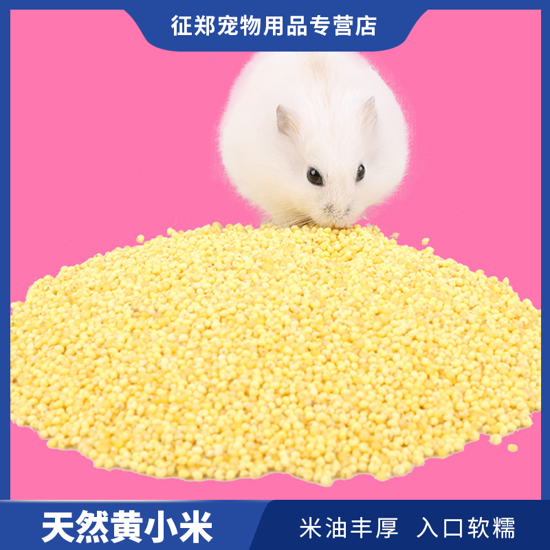 Zheng Zheng Pet Hamster Love Hamster Grain Hamster Grain Hamster Grain Grain Natural Small Yellow Rice Yellow Millet 100g