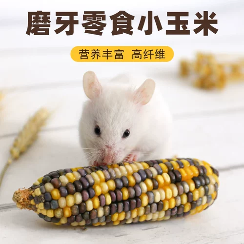 Прорезыватель для правильного прикуса, кролик, кукурузные зерна, 8-10см