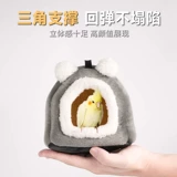 Попугай теплый птичий гнездо гнезд тигр кожи ископаемые и феникс -пиони.