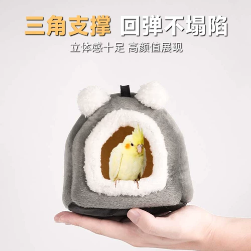 Попугай теплый птичий гнездо гнезд тигр кожи ископаемые и феникс -пиони.