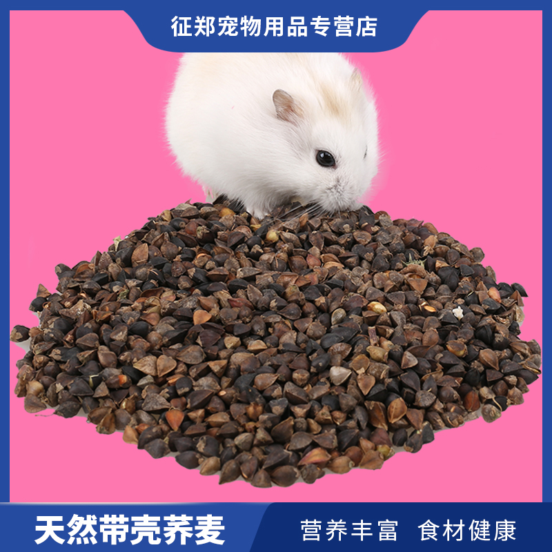 Zheng Zheng Pet ZZ019 Hamster Grain Hamster Grain Hamster Grain Nutrient Rich Dietary Fiber With Shell Buckwheat 100G