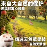再再 Палочки для коренных зубов хомяка, зерно, ветки яблони, материалы для ландшафтного дизайна, золотые медведи, кролики, морские свинки, закуски для шиншилл.