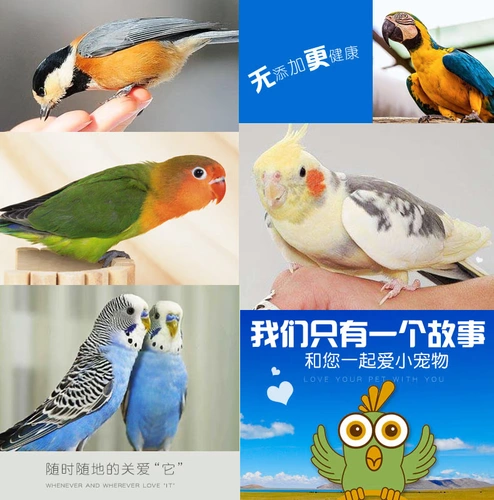 Попугайная кормление тигра -кожа попугайная пища для птиц корм