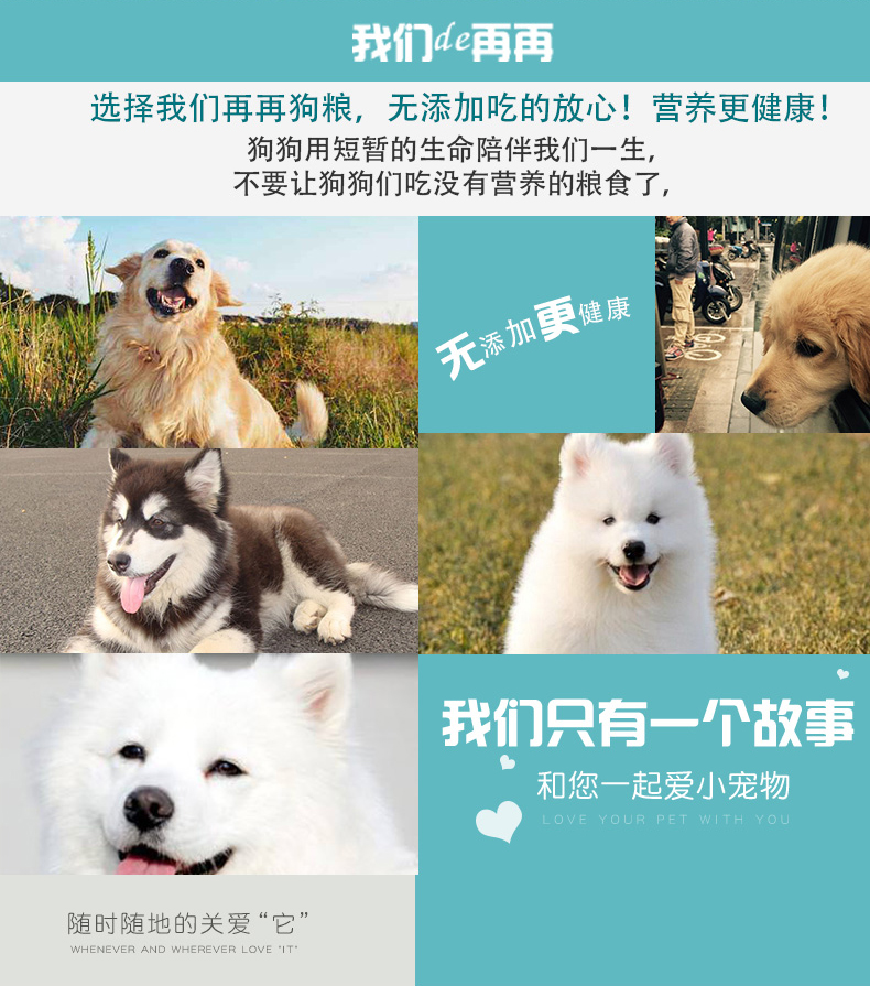 Thức ăn cho chó mục đích chung vừa và con chó lớn dành cho người lớn dog staple thực phẩm Jinmaosamoye vẻ đẹp tóc để xé mark công thức dinh dưỡng thức ăn hạt cho chó poodle