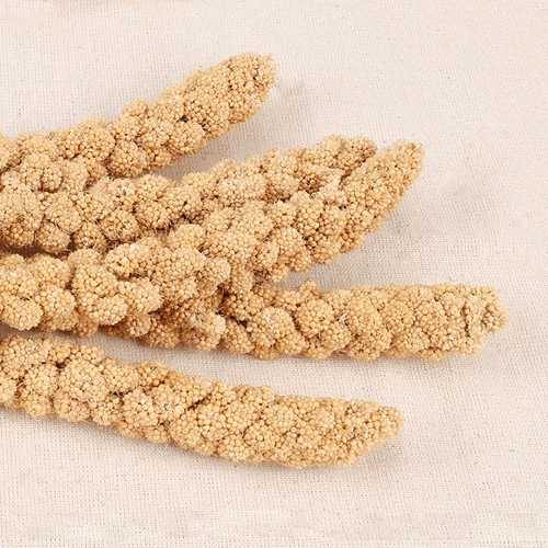 Hammel Snack Toy Natural Yellow Valley Ear с около 20-30 г дразнящей мыши с высоким содержанием клетчатки