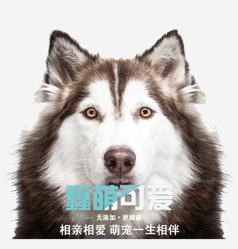 Thức ăn cho chó mục đích chung vừa và con chó lớn dành cho người lớn dog staple thực phẩm Jinmaosamoye vẻ đẹp tóc để xé mark công thức dinh dưỡng thức ăn hạt cho chó poodle