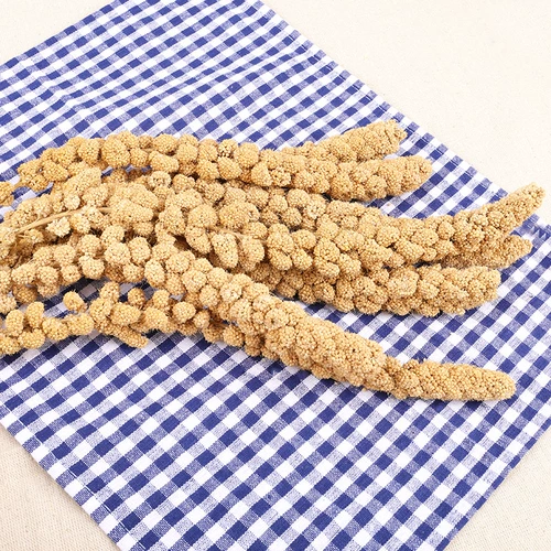 Hammel Snack Toy Natural Yellow Valley Ear с около 20-30 г дразнящей мыши с высоким содержанием клетчатки