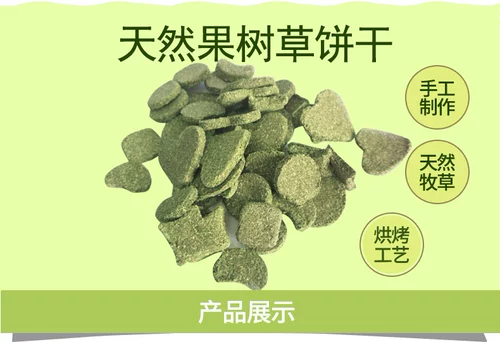 Фрукты Мого травяной торт кролик тоторо кормить голландские закуски для свиньи мого