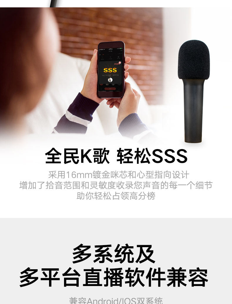 Новый Microphone_08.jpg