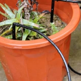 Поливка капли капли капли капли капельницы