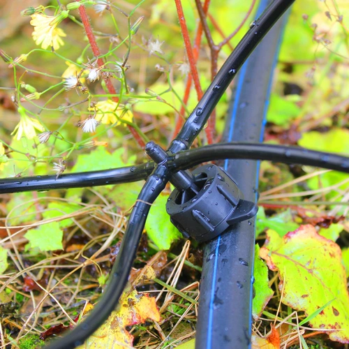 Поливка капли капли капли капли капельницы