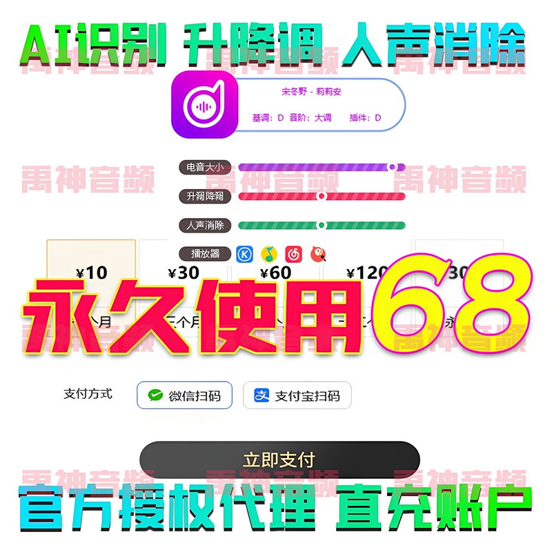 Electronic Music Assistant Member Automatic Electronic Music Key Query Software for Checking and Modifying Song Key on Kugou, Quanmin, and Netease