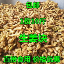 10 pounds of crushed ginger Old ginger pieces Shandong specialty ginger ginger old turmeric ginger Fresh ginger rhubarb ginger Fresh ginger