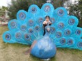 小叶儿眼镜商铺