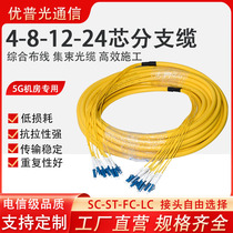 Multi-core beam-shaped fiber jumper 4 8 12 Core 24 Core square head SC swivel LC-FC-ST single-mode indoor branch tail cable