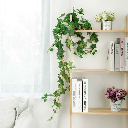 Моделирование зеленых листьев виноградных виноградных виноградных виноград