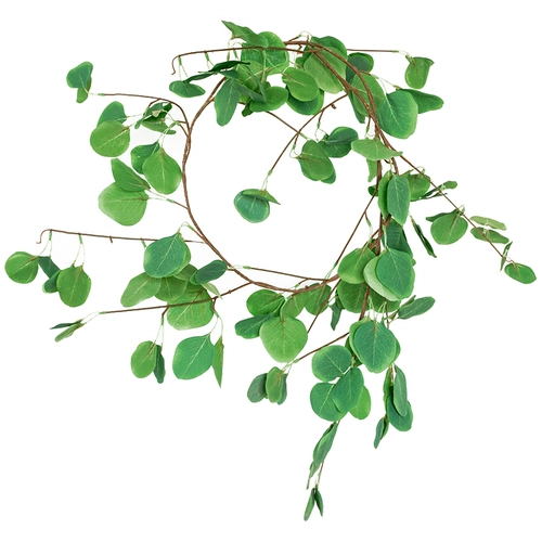 Моделирование зеленых листьев виноградных виноградных виноградных виноград