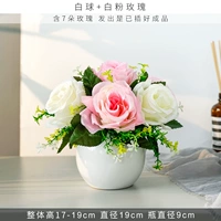 Белый шар+белый порошок роза