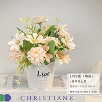 Живая бутылка+шампанское цвет желание