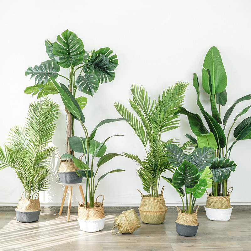 Nordic simulation plant landing traveler banana decorative tree Bird of paradise potted indoor home decoration green plant ornaments