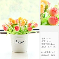 Живая бутылка+chunhuang QQ Rose