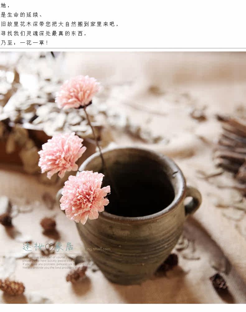 Светлый кунжут Flower_04.jpg