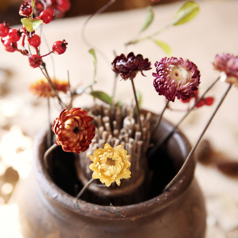 ��ױ��԰�Ҿ�װ��Ʒ�߲�С�ջ�