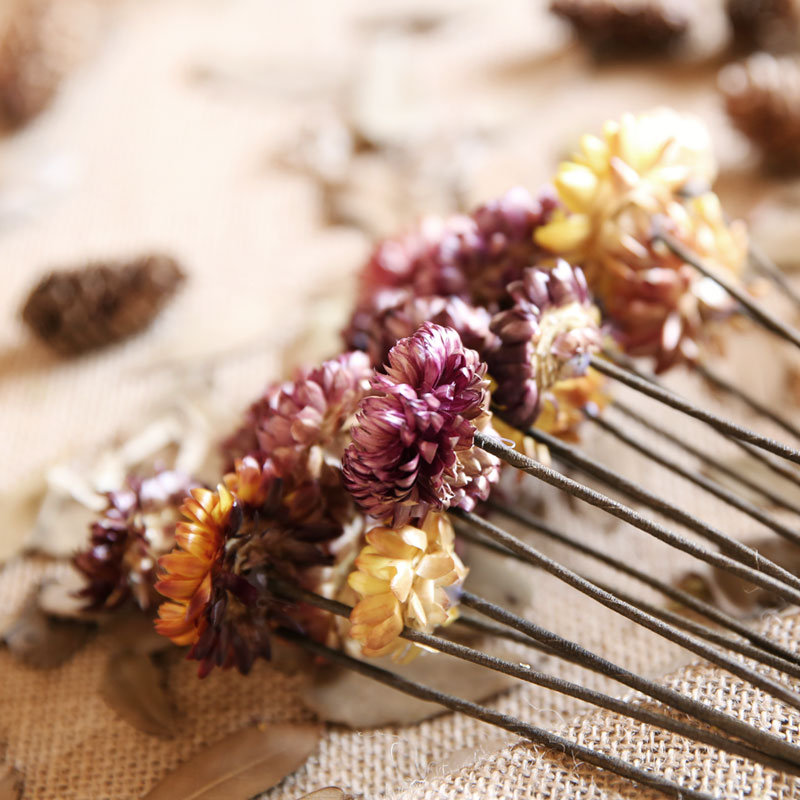 ��ױ��԰�Ҿ�װ��Ʒ�߲�С�ջ�