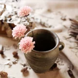 Qingcang Литература и искусство маленькая свежая кунжут