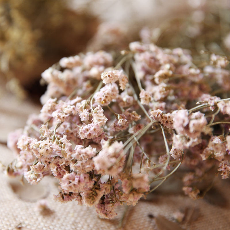 ��ױ��Ȼˮ���ݸɻ�