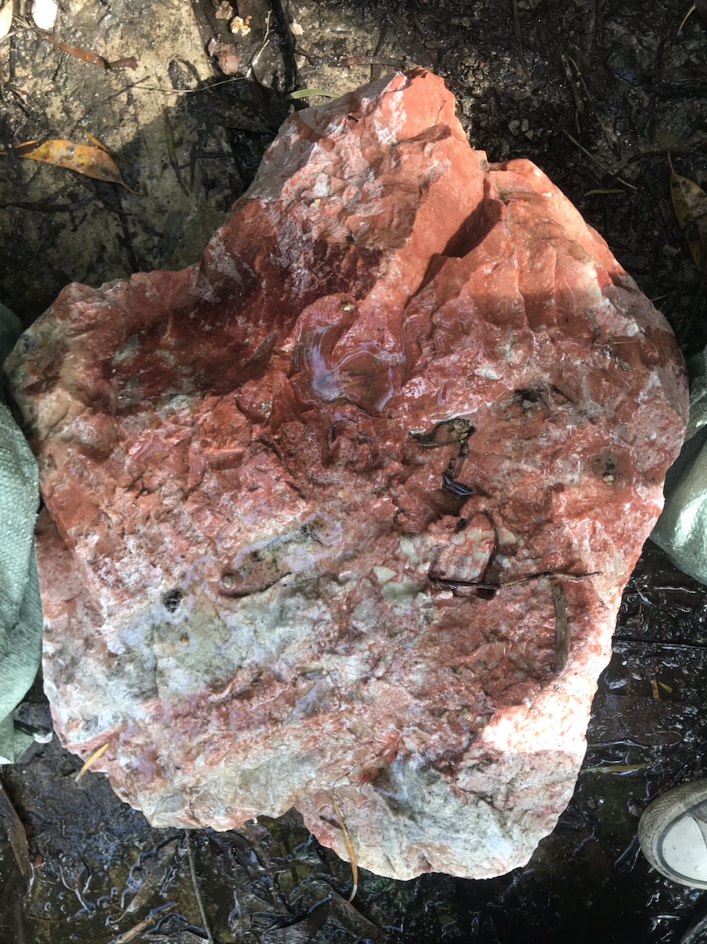 Fujian Shoushan stone raw materials