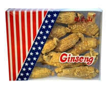 American Ginseng American Ginseng American Ginseng American Ginseng American Ginseng American Ginseng American Ginseng American Ginseng American Ginseng American Ginseng American Ginseng American Ginseng American Ginseng American Ginseng American Ginseng