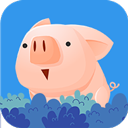 抓小猪-无限猪币