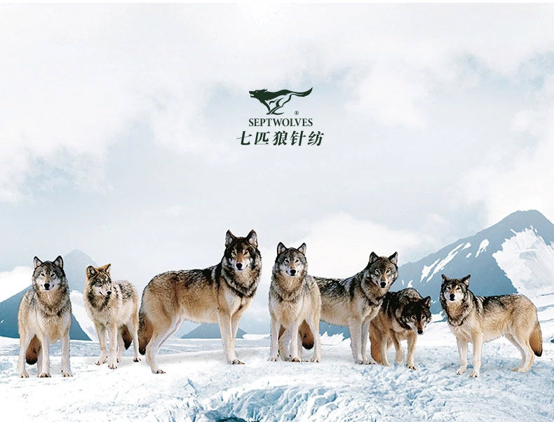 Sous-vêtement chaud jeunesse SEPTWOLVES simple en coton - Ref 765391 Image 37