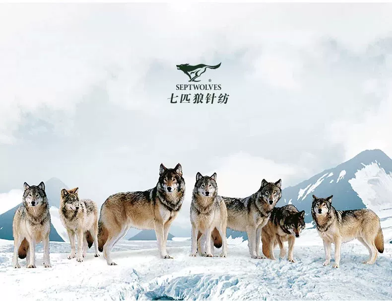 Chaussettes - collants SEPTWOLVES 90688-06 - Ref 753387 Image 26