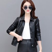 2022 Spring new Hainen genuine leather leather clothes female short Han version fashion loose sheep leather jacket jacket tide