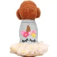 Pet chó quần áo Teddy quần áo chó nhỏ Pomeranian nửa cơ thể công chúa hai chân váy con chó váy váy - Quần áo & phụ kiện thú cưng